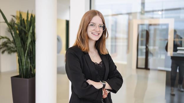 wolf-fenster-brt-212