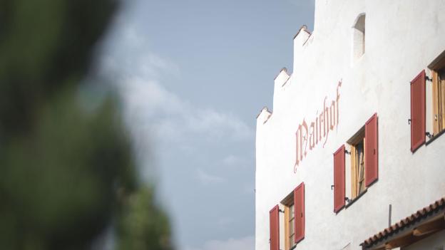 001-wolf-fenster-kottersteger-kot-6560